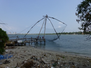 Large net with foreground detritus